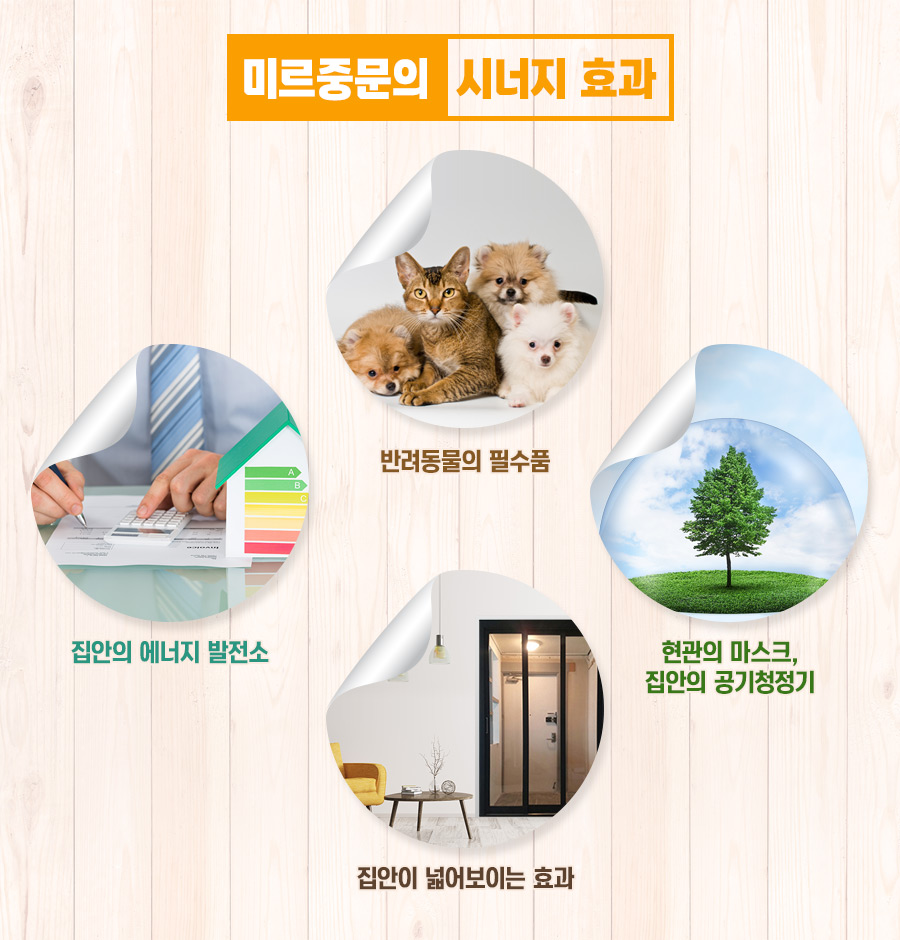 바삭카야 이미지