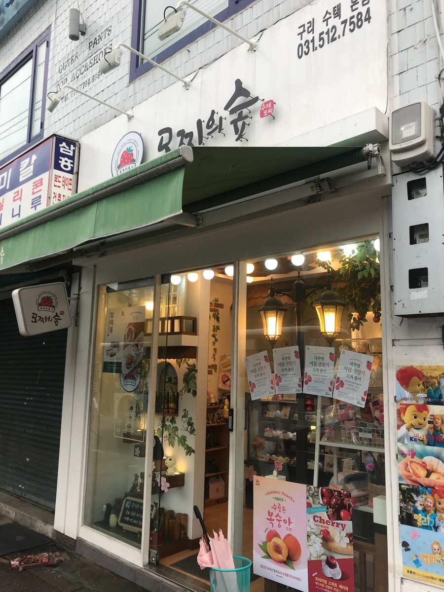 모찌의숲 이미지