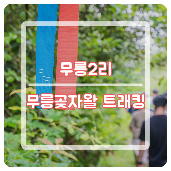 무릉그늘집 이미지