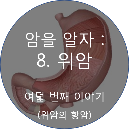 센신코리아 이미지