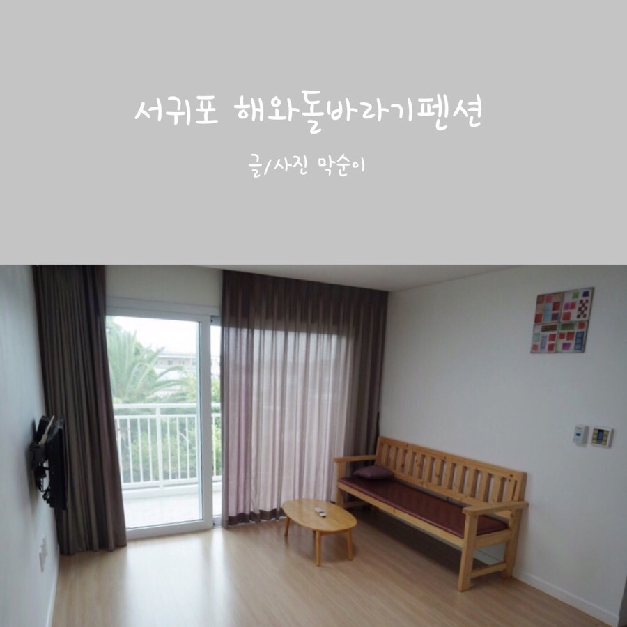 국수바라기 이미지
