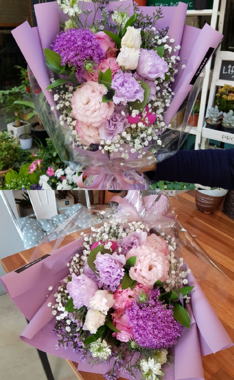보라사 이미지