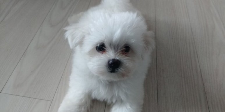 봉봉쌀롱 이미지