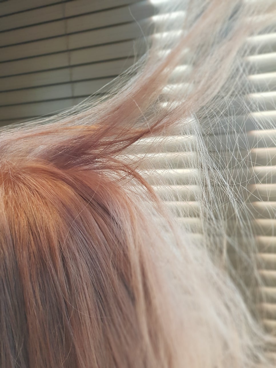 젠틀핑크 이미지