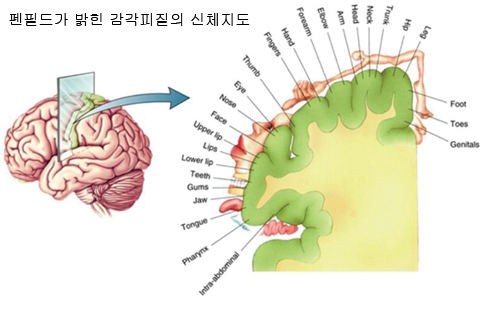 미인연구소 이미지