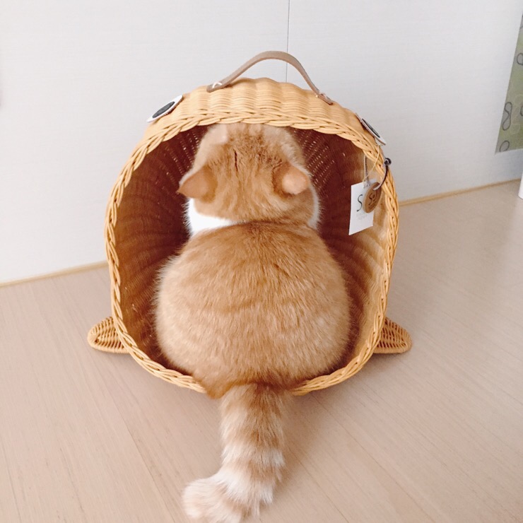 미유컴퍼니 이미지