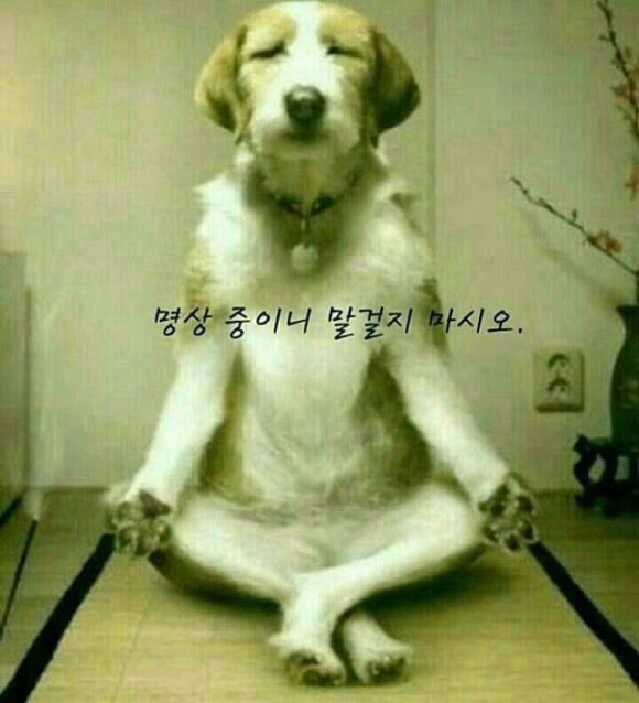 하루비 이미지