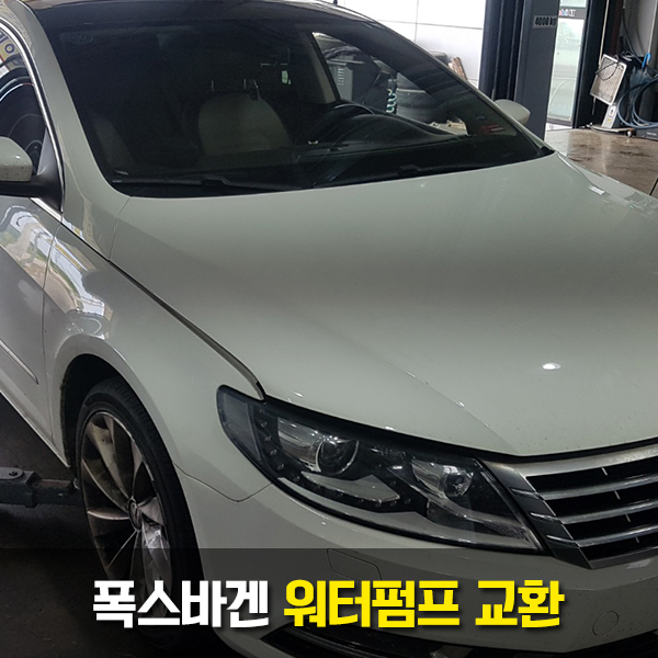 만세모터스 이미지