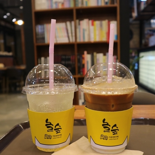 놀숲대전 이미지