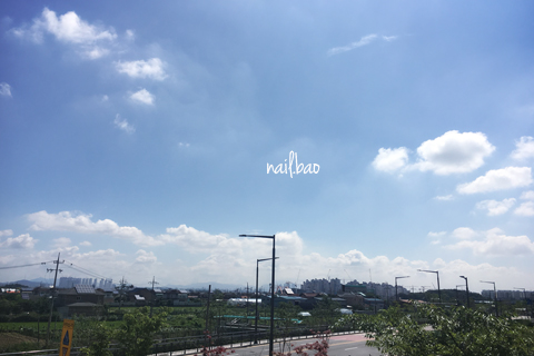 자이더네일 이미지