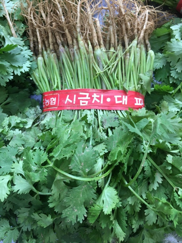 우리농산물야채청과 이미지