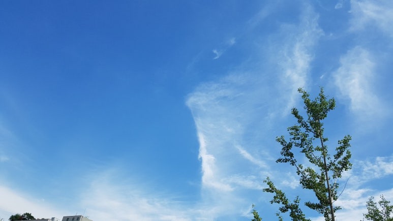 브레덴코세종 이미지