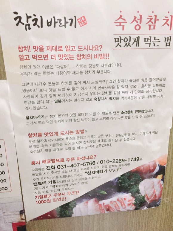 참치바라기 이미지