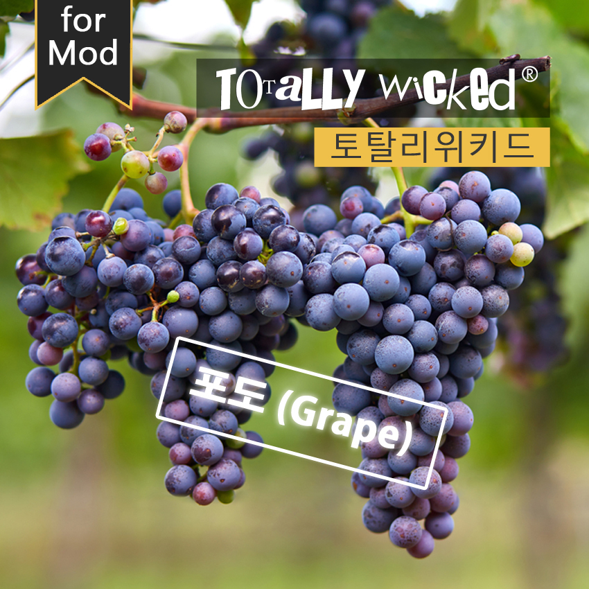 신림역토네이도전자담배 이미지