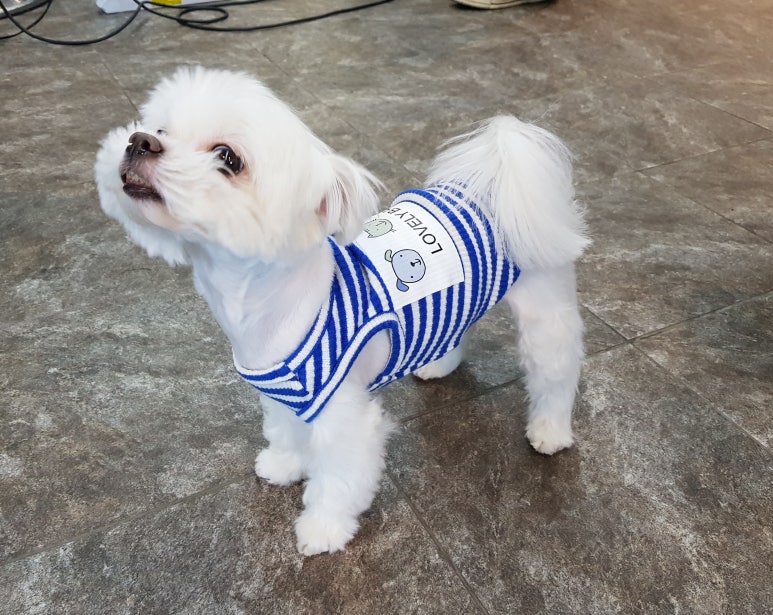 수분과열미용학원 이미지