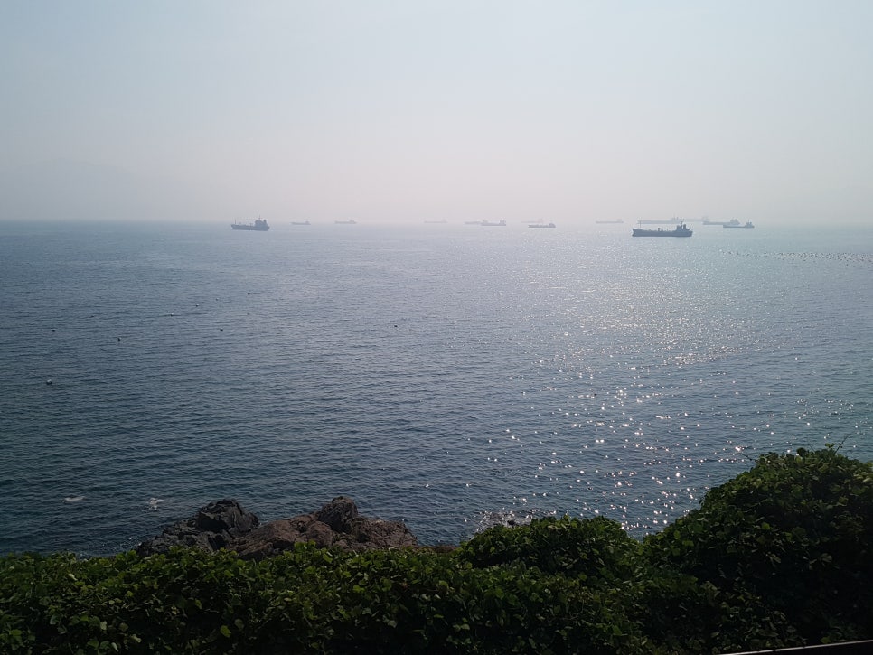 마래 이미지