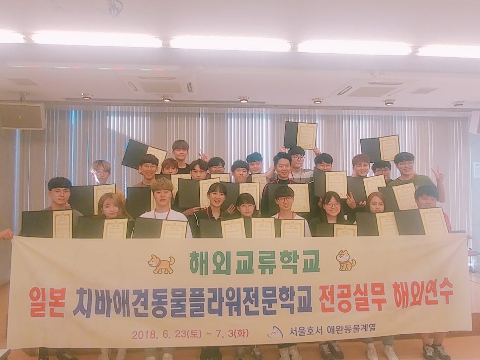 정진플라워 이미지