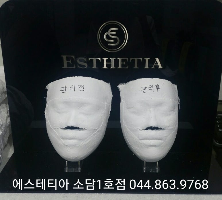 에스테티아세종소담 이미지