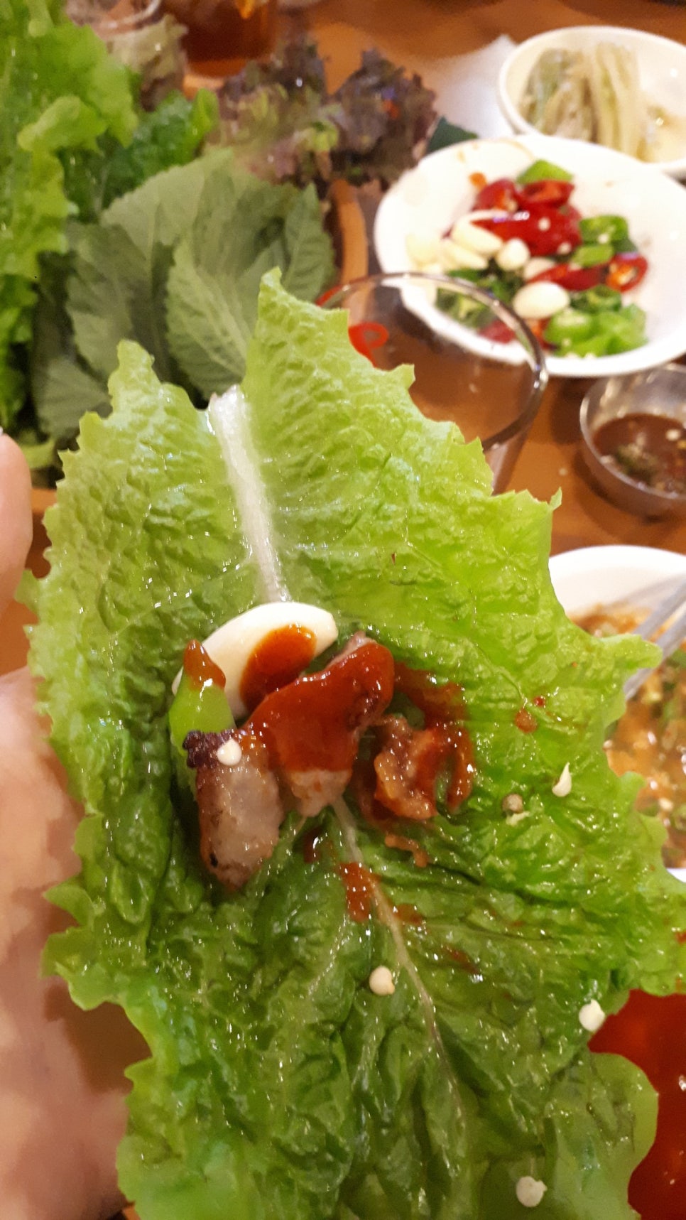 꽃돼지세상 이미지