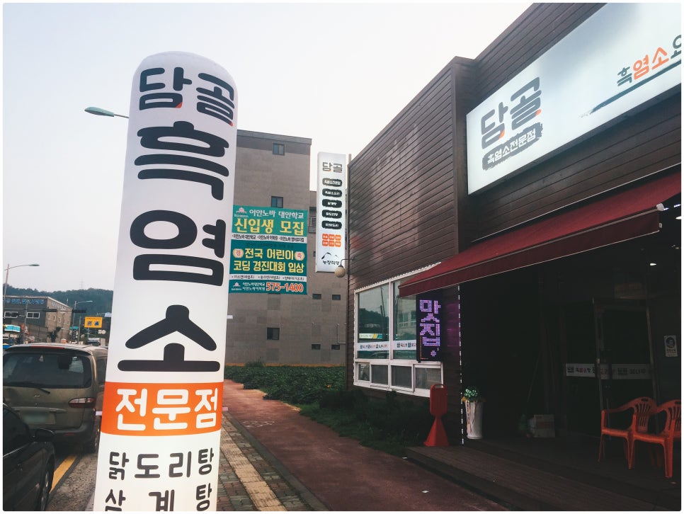 통정흑염소 이미지
