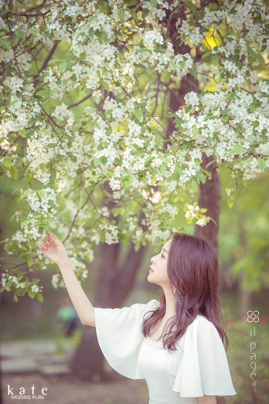 더 일페이지 이미지