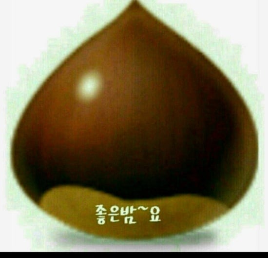 스팀샤워 이미지