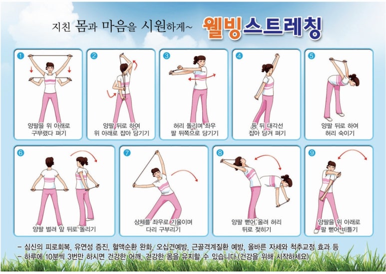 웰빙스트레칭 이미지