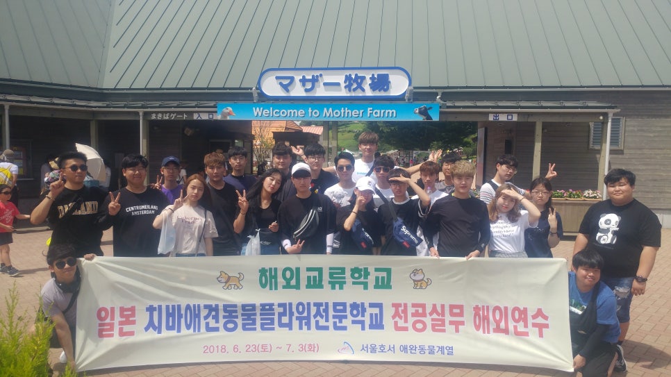 정진플라워 이미지