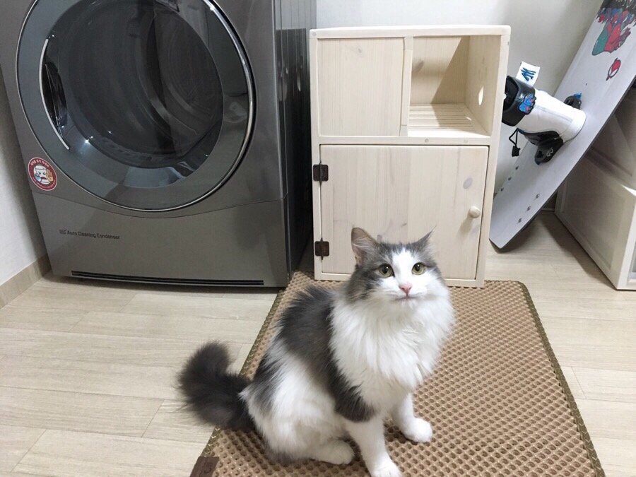 다람쥐목공방 이미지