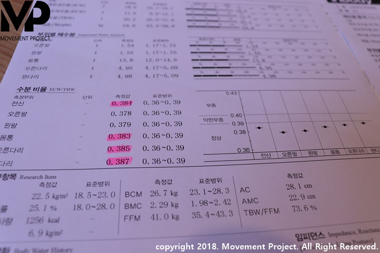 무브먼트프로젝트 이미지