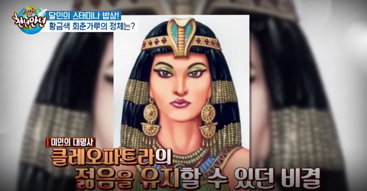 천년보감 이미지