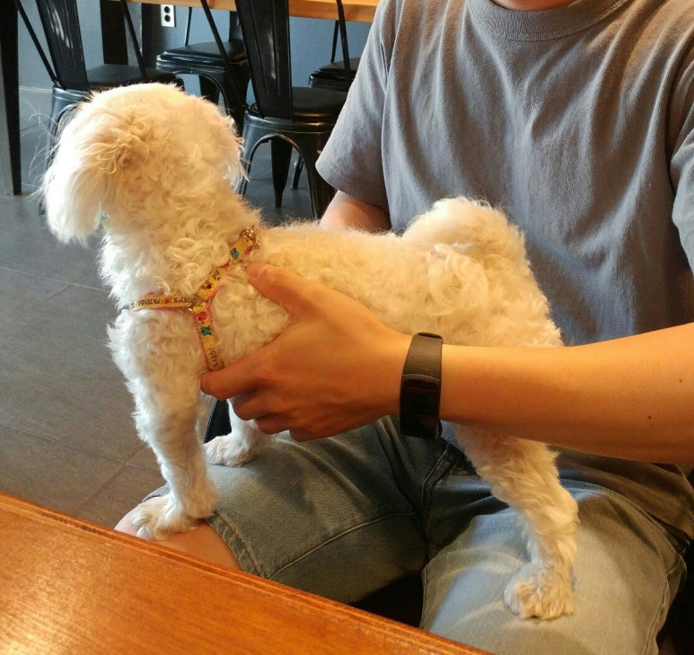 라떼킹북한산점 이미지
