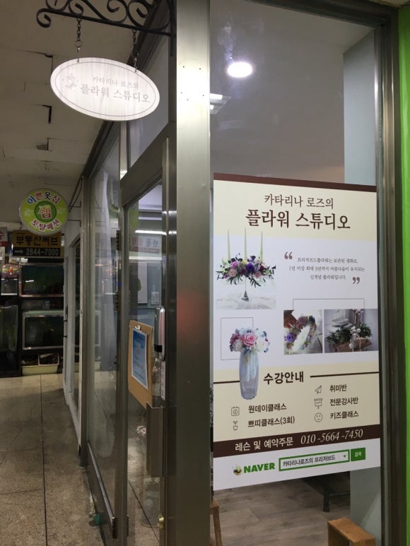 카타리나 스튜디오 이미지