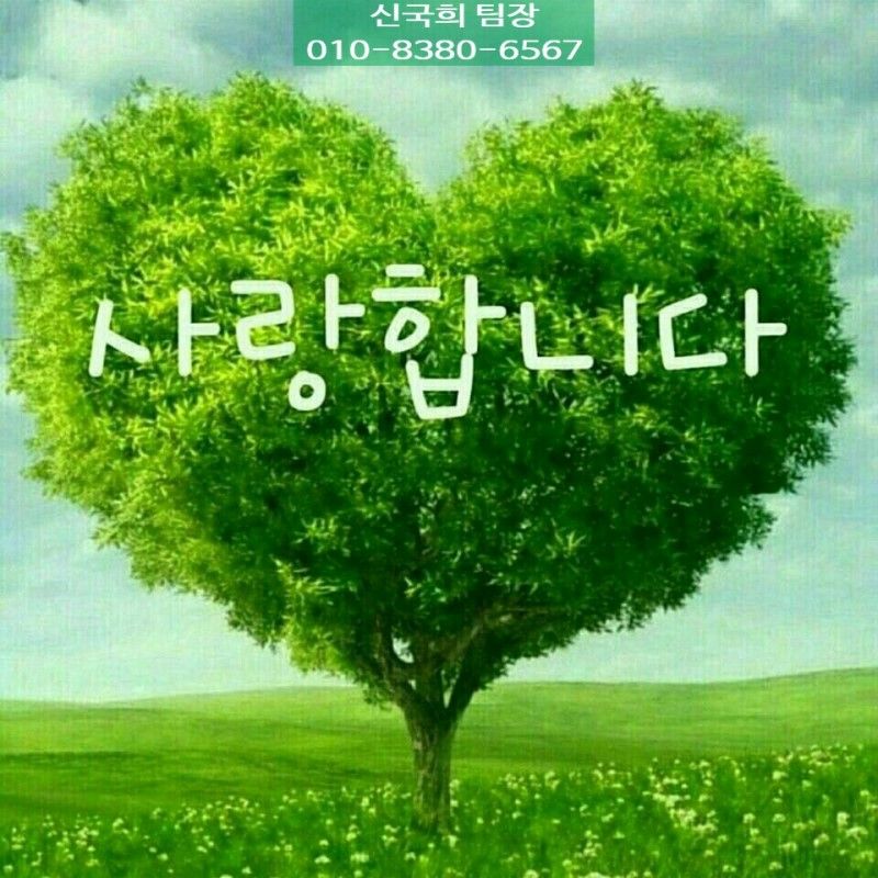 더포레스트 이미지