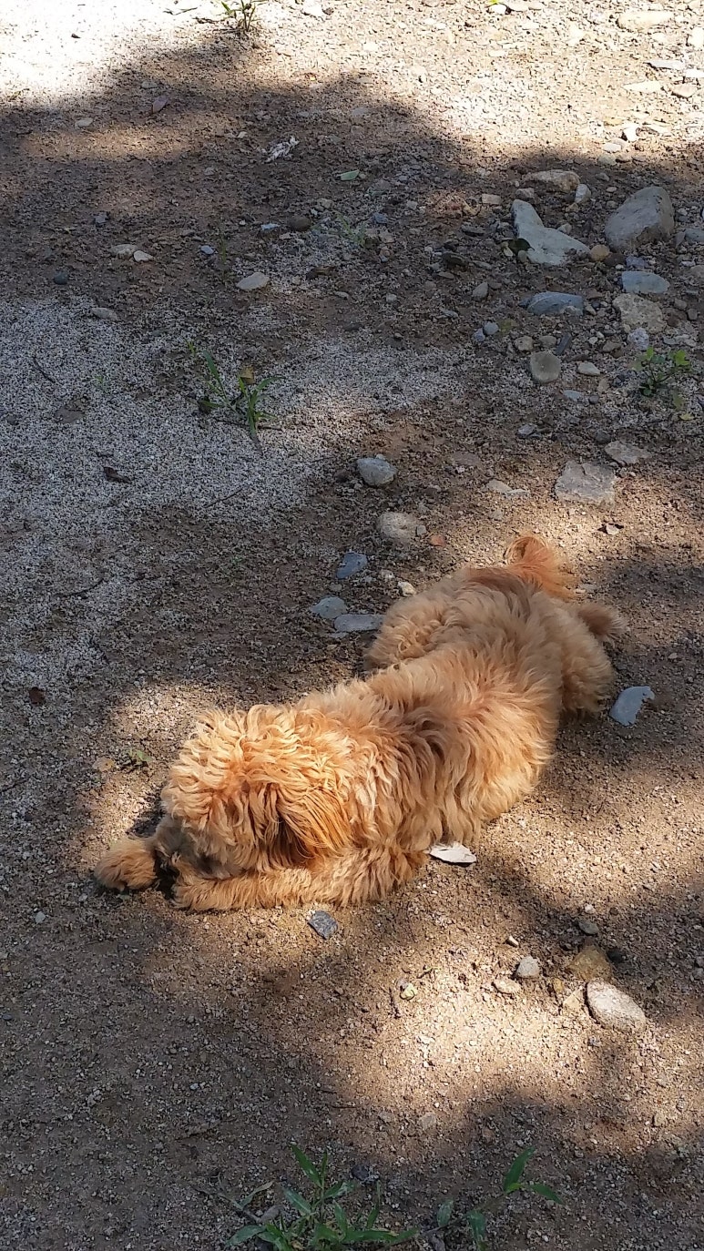 예랑농원 이미지