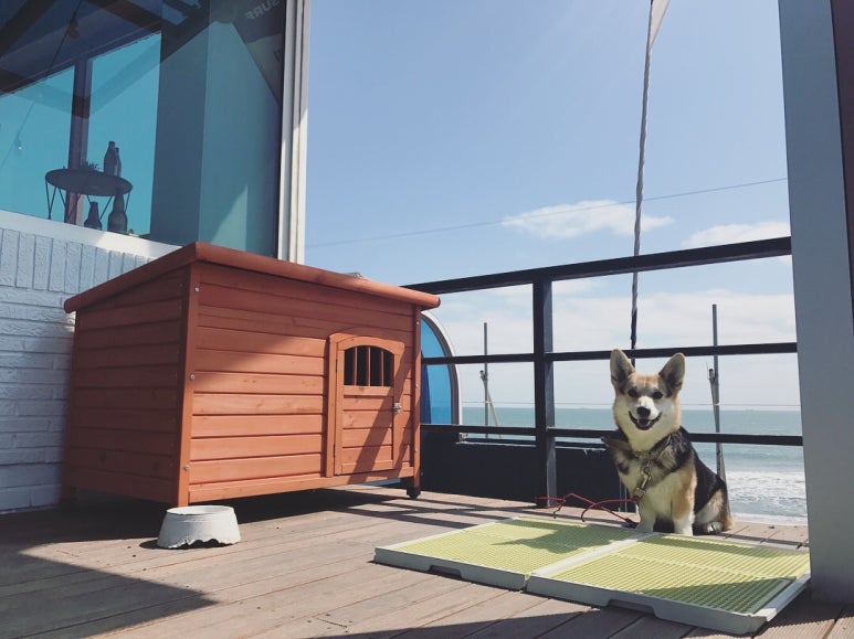 임랑서핑학교 이미지