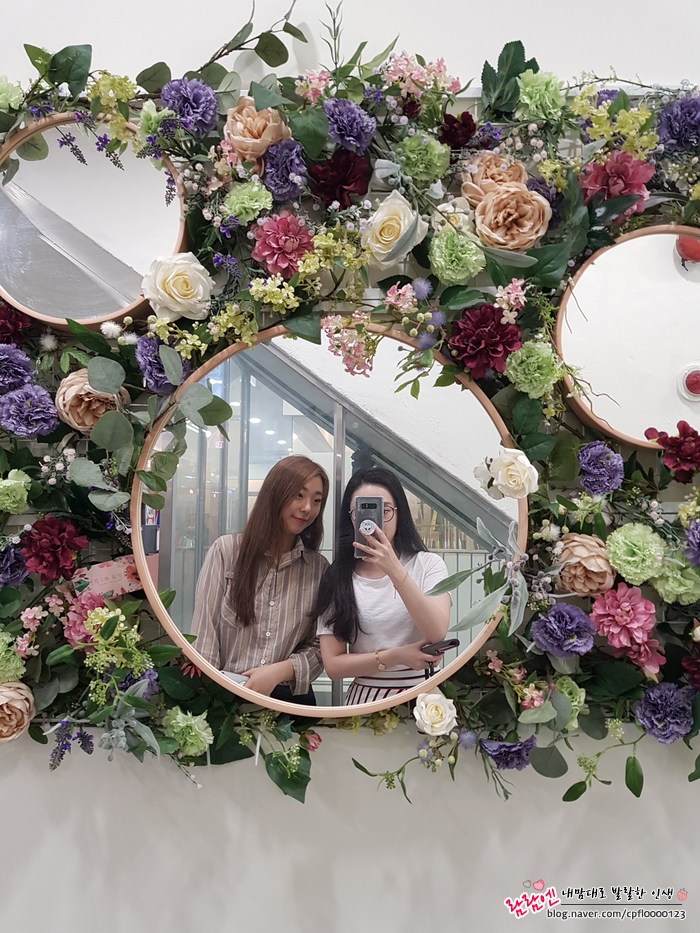 아리세 이미지