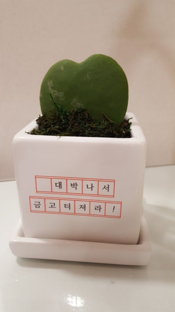 해피트리네일샵 이미지