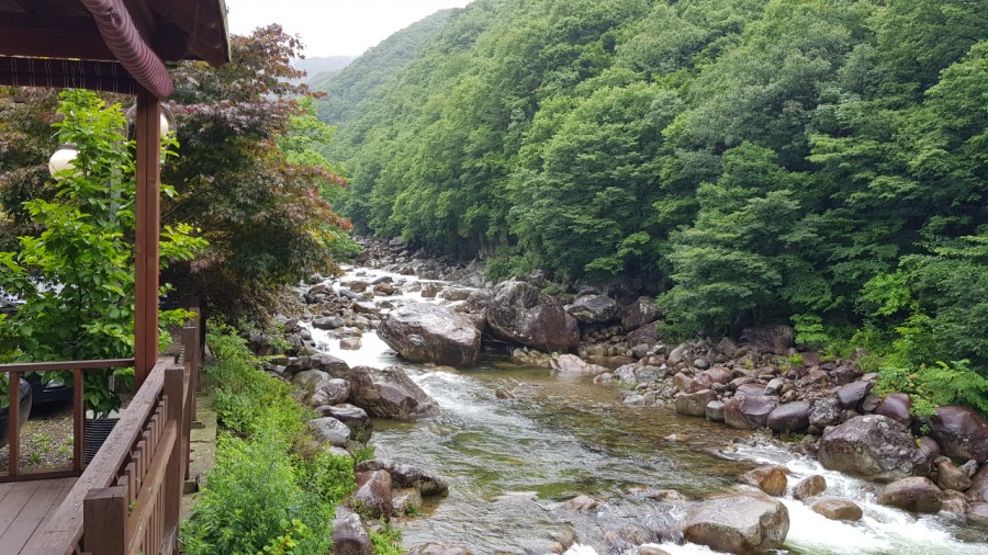 느티나무산장 이미지