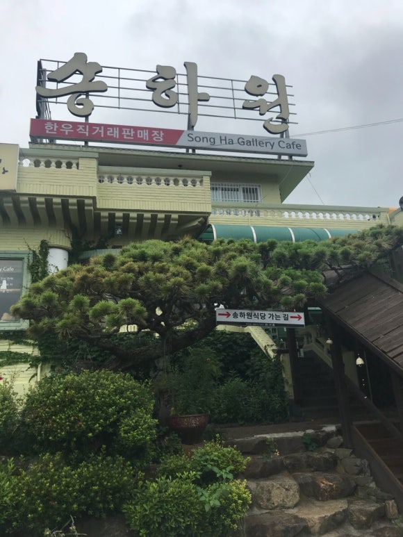 송하원 이미지