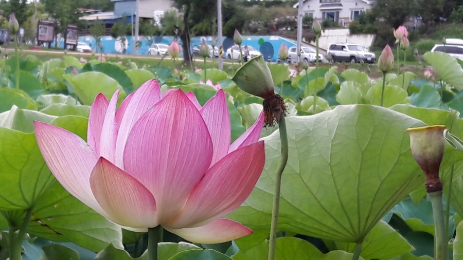 (주)결 이미지