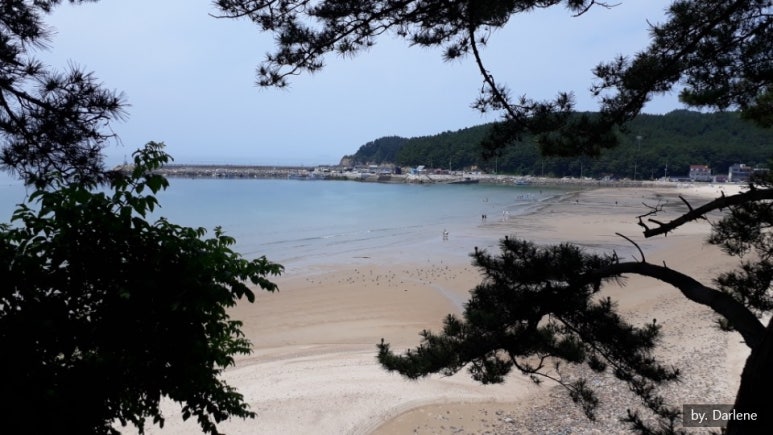 천리포차 이미지