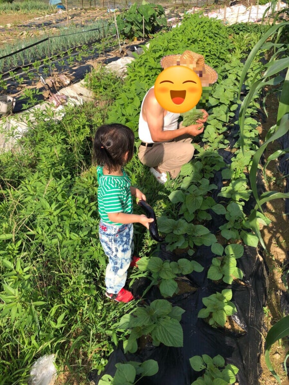 율동농장 이미지