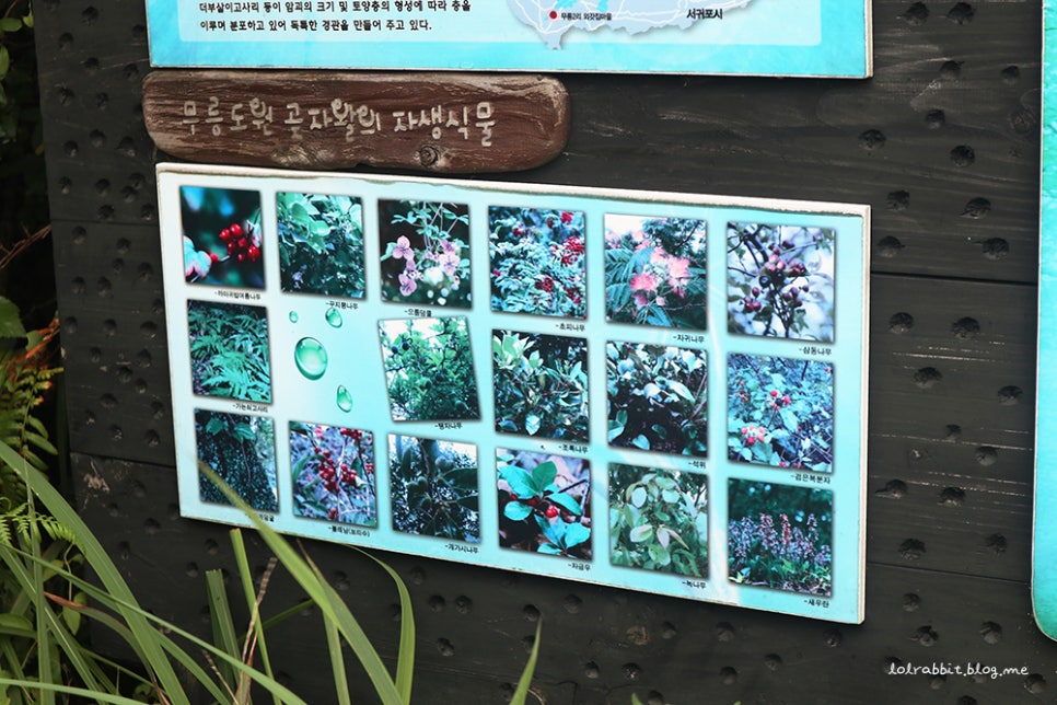 무릉2리마을회 이미지