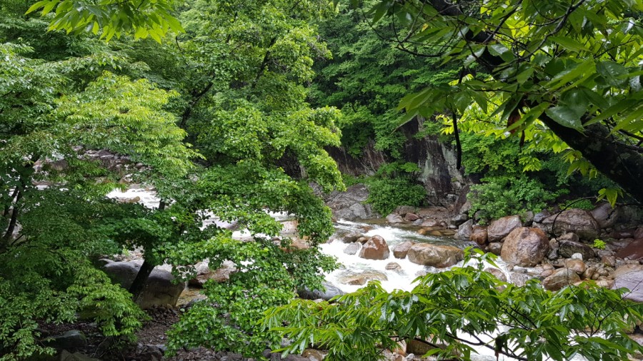 느티나무산장 이미지