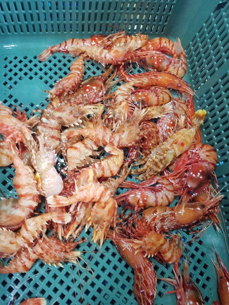 오찬만찬밥상 이미지