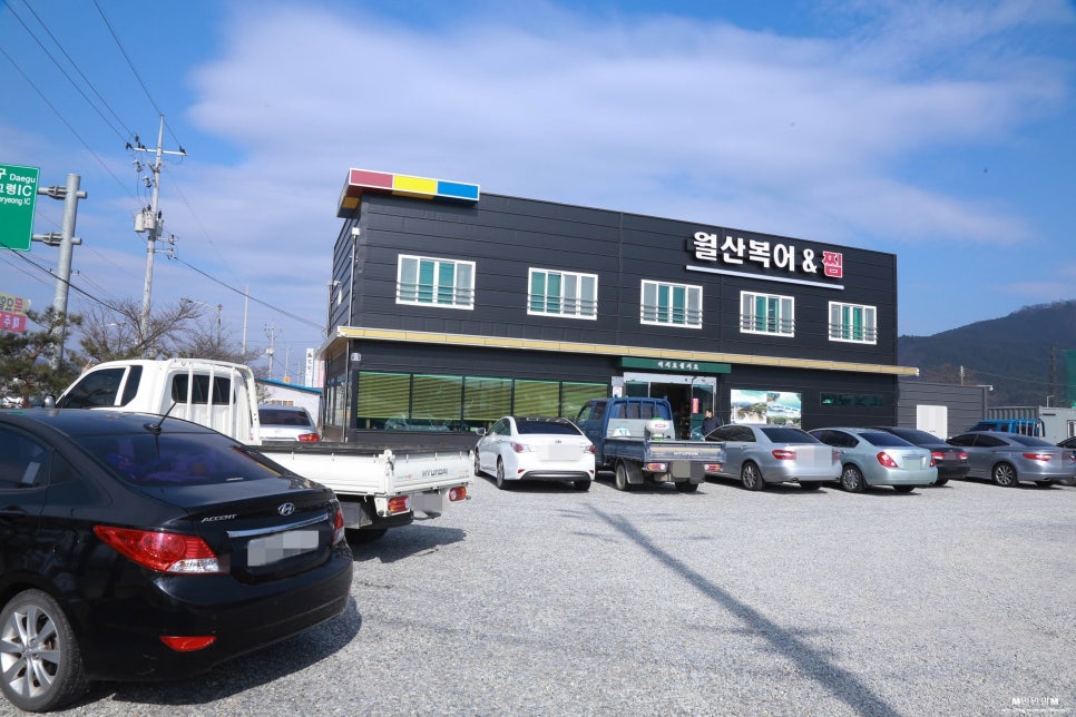 월산복어 이미지
