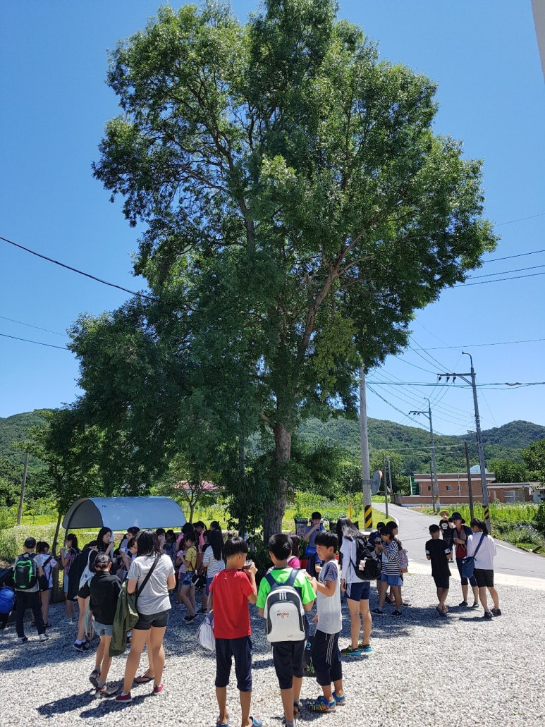 부창초등학교 이미지