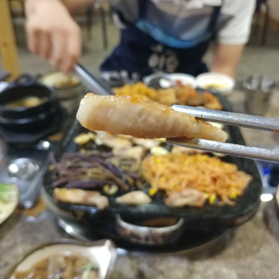 시끌시끌돼지들 이미지