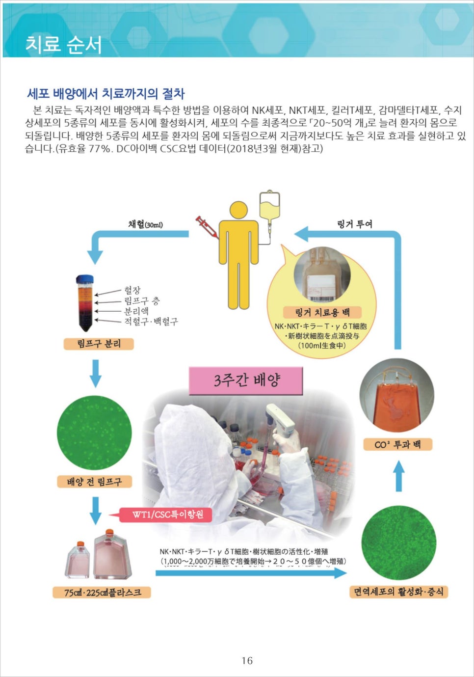 센신코리아 이미지